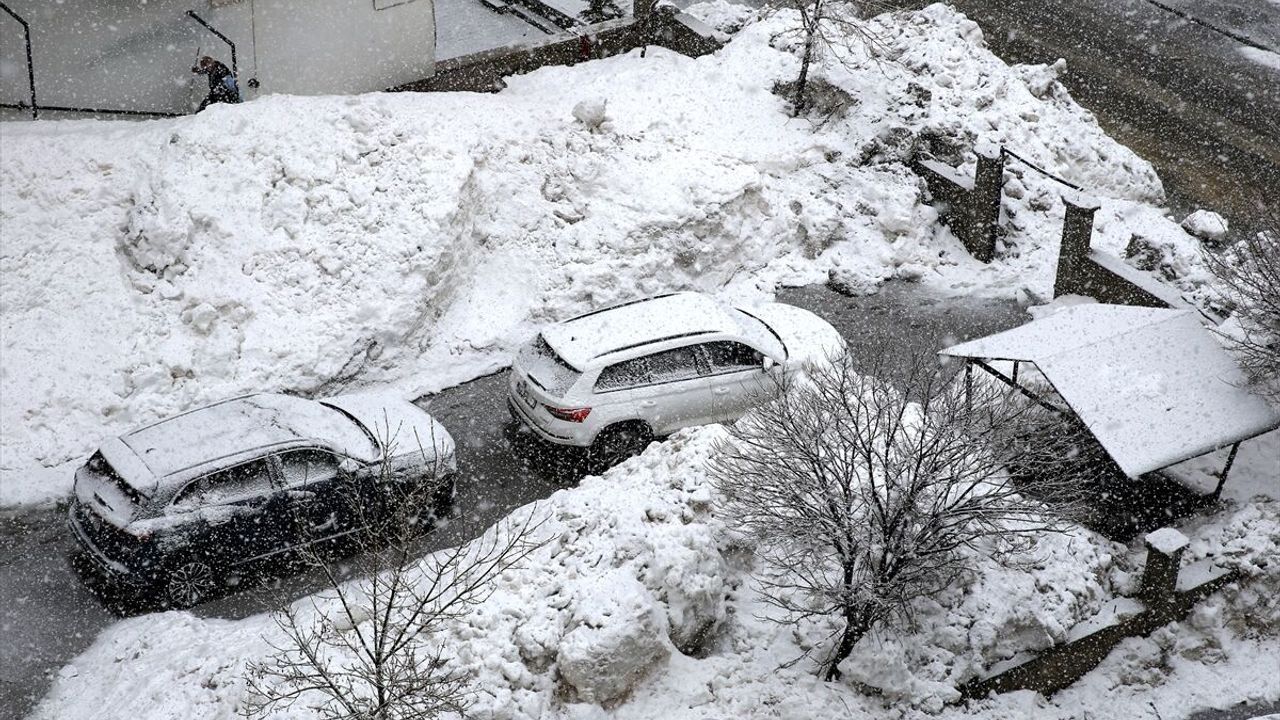 Bitlis'te kar etkili oldu