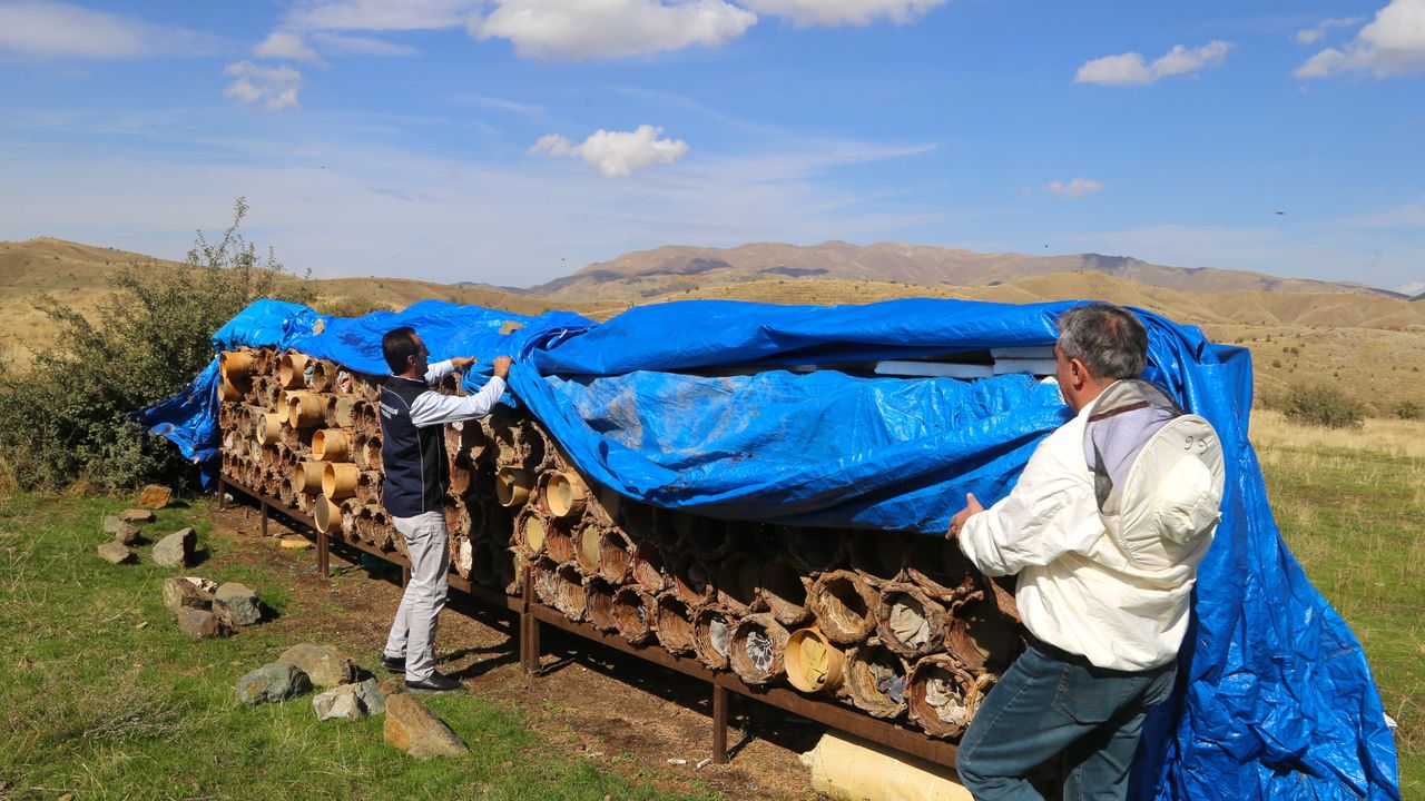 Bitlis'te karakovan balı hasadı sürüyor
