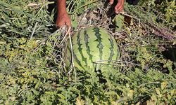 Türk Deniz Kuvvetleri ve Meteoroloji Genel Müdürlüğü Kuzey Kutbu''ndaki bilimsel çalışmalara katıldı