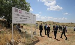 MARDİN - Tarihi manastırın bahçesindeki üretimle asırlık üzümlerin geni korunacak