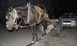 Aydın'da trafikte alkollü at arabası kullanan kişiye para cezası