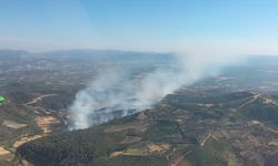 İzmir'in Bergama ilçesinde çıkan orman yangınına müdahale ediliyor