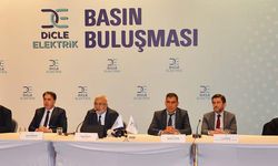 Dicle Elektrik 2025 yılında 8 milyar TL yatırım yapacak