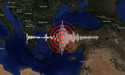 "Asrın felaketi"nden sonra Türkiye ve yakın çevresinde yaklaşık 110 bin deprem meydana geldi