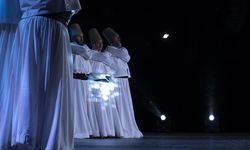 ABD'nin Chicago kentinde "Türk Festivali" başladı