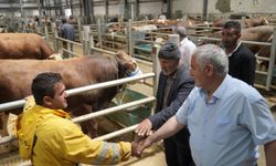Doğu Anadolu Canlı Hayvan Borsası'nı 5 yılda 2 milyon kişi ziyaret etti