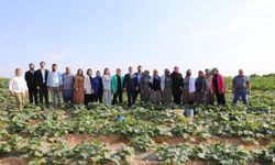 AK Parti Genel Başkan Yardımcısı Kaya, Adana'da ziyaretlerde bulundu