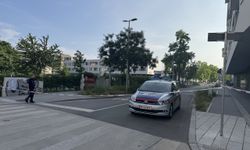 Avusturya'da okula düzenlenen silahlı saldırıda 11 kişi öldü