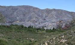 California’daki yangın Silverwood Gölü çevresinde ciddi hasara yol açtı