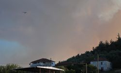 İzmir Valisi Elban'dan orman yangınına ilişkin açıklama: