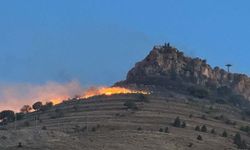 Mardin'de tarihi kale eteklerinde çıkan örtü yangını kontrol altına alındı