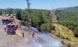 Muğla'da çıkan orman yangını söndürüldü