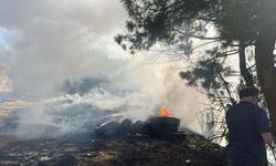 Muğla'da çıkan orman yangınına müdahale ediliyor