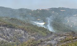 Balıkesir'deki orman yangını kontrol altına alındı