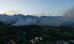 Hatay Dörtyol'da dün çıkan orman yangınına müdahale sürüyor