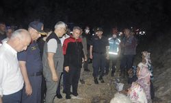 İzmir Valisi Elban'dan Ödemiş'teki orman yangınına ilişkin açıklama:
