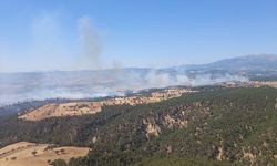 Kütahya'da ormanlık alanda çıkan yangına müdahale ediliyor