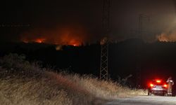Tekirdağ'da çıkan orman yangını Çanakkale'ye sıçradı