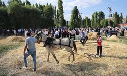 "6. Harman Festivali" başladı