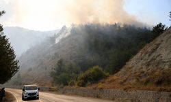 Karabük'te çıkan orman yangını kontrol altına alındı