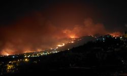 Denizli'nin Buldan ilçesindeki orman yangınına müdahale sürüyor