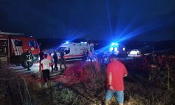 Kocaeli'de kestiği ağacın altında kalan kişi öldü