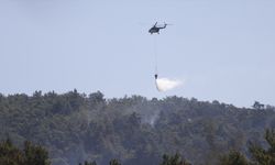 Milas'ta çıkan orman yangınına havadan ve karadan müdahale ediliyor