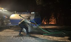 Milas'ta çıkan orman yangınına müdahale ediliyor