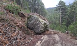 Sındırgı'daki depremin ardından Kütahya'da yamaçtan kopan kaya yolu kapattı