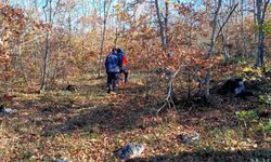 Bursa'da mantar toplamak için gittiği ormanlık alanda kaybolan kişi bulundu