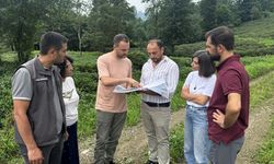 Rize'de doğal kaynak yönetimi ve sürdürülebilir çözümler için DOKSAY Projesi uygulanıyor