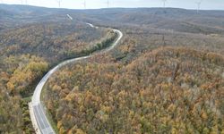 Tekirdağ'da ormanlar sonbahar renklerine büründü