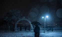 İstanbul'da kar yağışının etkisiyle bazı bölgeler beyaza büründü