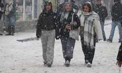 Ağrı'da kar yağışı etkili oldu