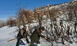 Batman'da kuşlar için doğaya yem bırakıldı