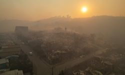 Şili'nin güneyinde meydana gelen orman yangınlarında 18 kişi öldü