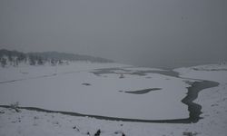 Yuvacık ve Gölköy barajlarında su seviyesi son yağışlarla yükseldi