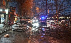Edirne'de fırtına etkili oluyor