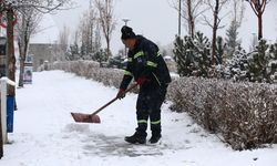 Erzurum, Ardahan ve Kars'ta kar etkili oldu