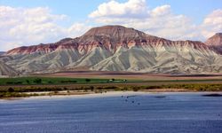 Nallıhan Kuş Cenneti göçmen kuşlarla şenlendi