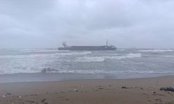Sakarya'da kuru yük gemisi karaya oturdu