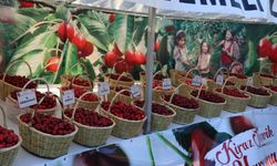 Amasya'da Kiraz Teşvik Yarışması yapıldı