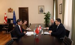 Gürcistan Parlamentosu Başkanı Papuaşvili, Türkiye'nin Tiflis Büyükelçisi Arı'yla bir araya geldi