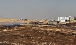Mardin'de çıkan anız yangınına müdahale ediliyor