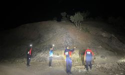 Siirt'te kayıp ihbarı yapılan çobanın bulunması için çalışma başlatıldı