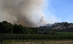 California'da orman yangınına müdahale sürüyor