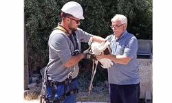 Sivas'ta tedavisi tamamlanan yaralı leylek yavrusu yuvasına bırakıldı