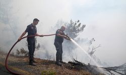 Aydın'ın Çine ilçesindeki orman yangınına müdahale 3. gününde sürüyor