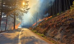 Uludağ'da yol kenarında çıkan yangına havadan ve karadan müdahale ediliyor