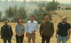Adana'nın Kozan ilçesinde çıkan orman yangını İmamoğlu ve Aladağ ilçelerine de sıçradı